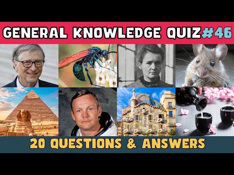 TOUGH QUIZ about General Knowledge 🧠 Can you score 15/20?